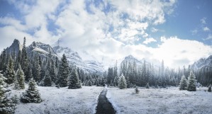 Mountain World